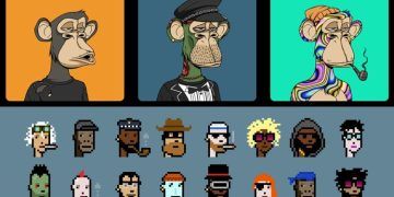 24 Best NFT Projects: From Apes to Punks