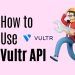 A Comprehensive Guide on How to Use Vultr API for Infrastructure Management