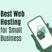 Best Web Hosting for Small Business: Choosing the Right Hosting Plan