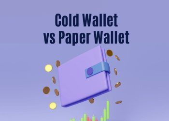 Cold Wallet vs Paper Wallet: Which One is Better?
