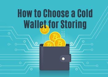 How to Choose a Cold Wallet for Storing Cryptocurrencies: A Comprehensive Guide