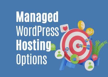 Managed WordPress Hosting Options: Choosing the Right Provider for Your Website