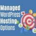 Managed WordPress Hosting Options: Choosing the Right Provider for Your Website