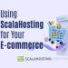 The Benefits of Using ScalaHosting for Your E-commerce Website