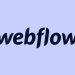 Webflow Hosting: Everything You Need to Know About Hosting Your Website on Webflow