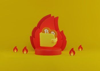 What Is a Hot Wallet: An Introduction to Online Cryptocurrency Storage